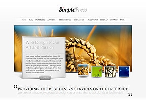 Wordpress Website Design - Online Blog