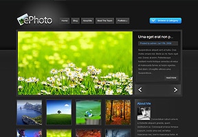 Wordpress Website Design - Photographer