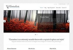 Wordpress Website Design - Environment